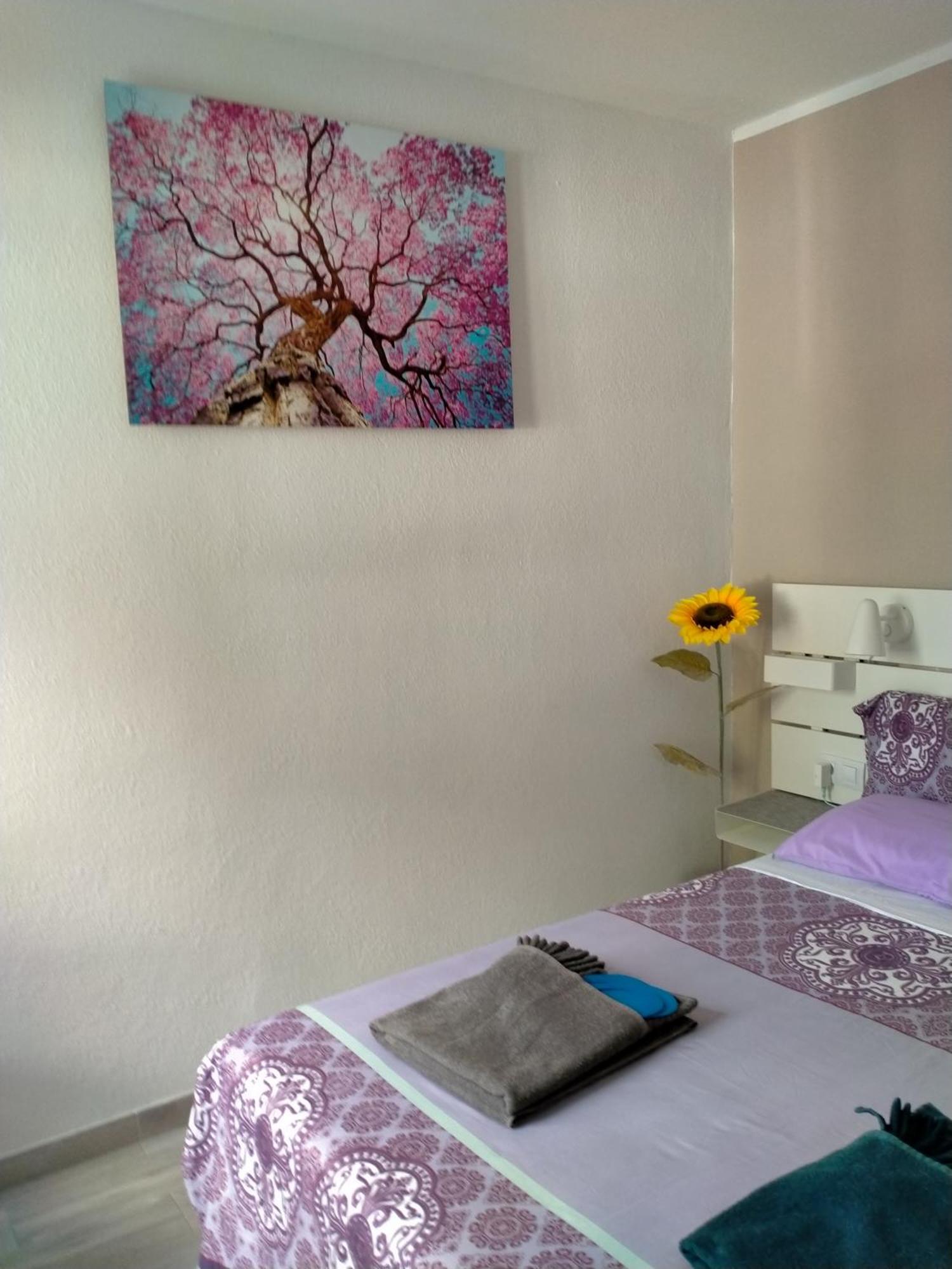 La Casa De Marcoq Apartment กอสตากาลมา ภายนอก รูปภาพ